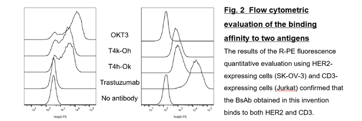 [8543]Fig.2.png