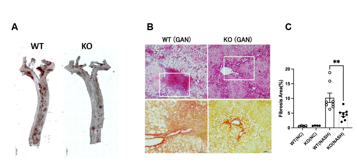 スクリーンショット 2026-04-02 094656.png