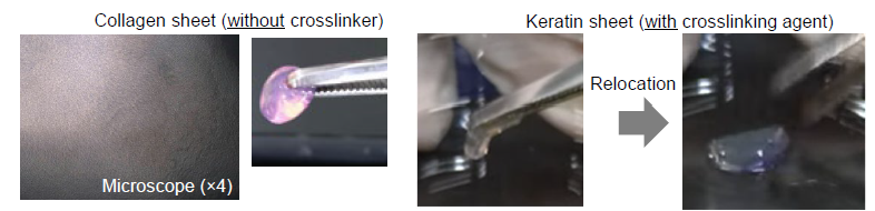 スクリーンショット 2026-09-03 142435.png
