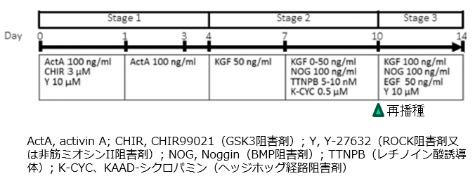 [4653]fig.1.png
