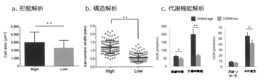 [4834]fig.png
