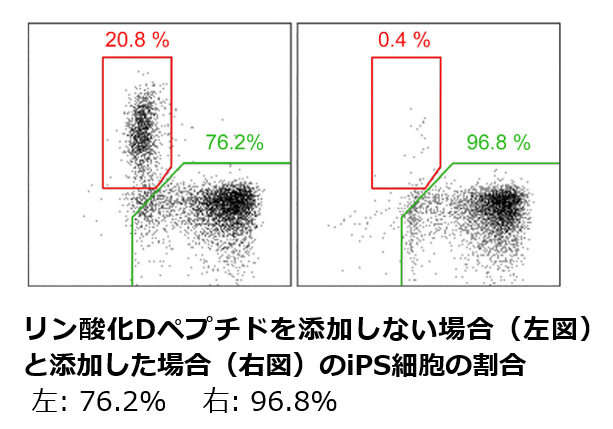 [4914]fig.png
