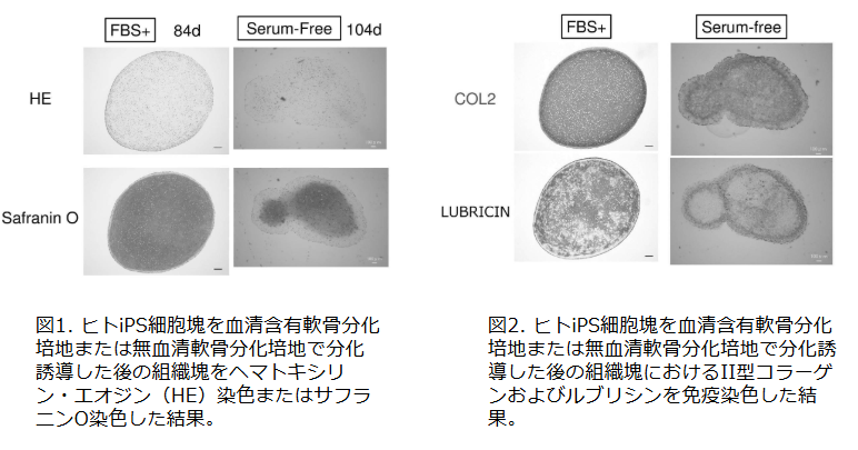 [6065]fig.png
