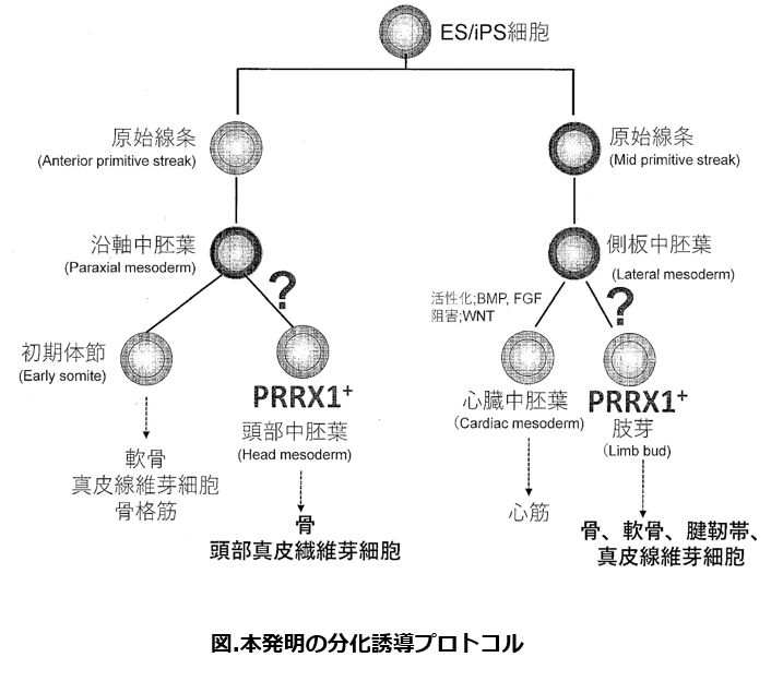 [6613]fig.png