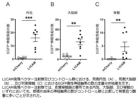 [7162]fig.png