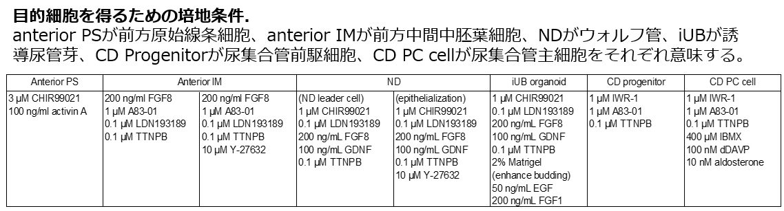 [7417]fig.png