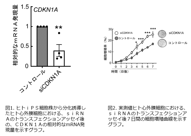 [7626]fig.png