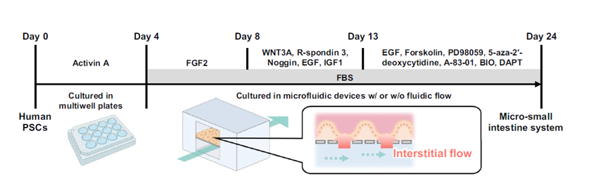 [8120]fig.png