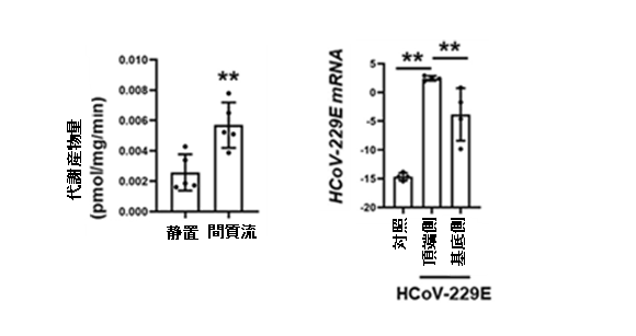 [8120]fig2.png