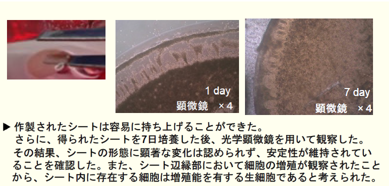 スクリーンショット 2026-07-03 103203.png