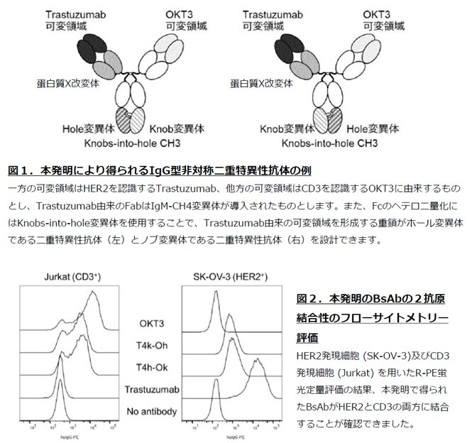 8543_画像.jpg