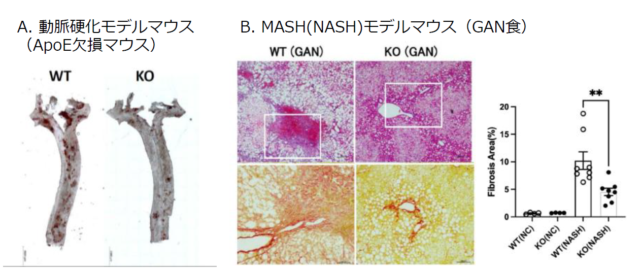 スクリーンショット 2026-03-12 161727.png