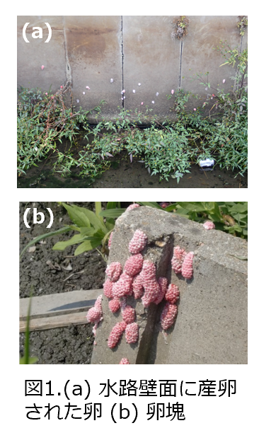 スクリーンショット 2026-03-30 165726.png