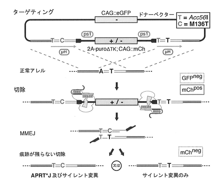 スクリーンショット 2025-08-18 171158.png