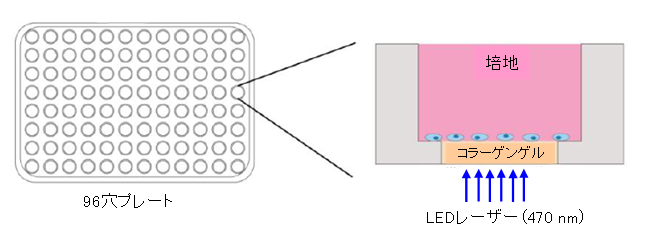 [7046]fig1.png