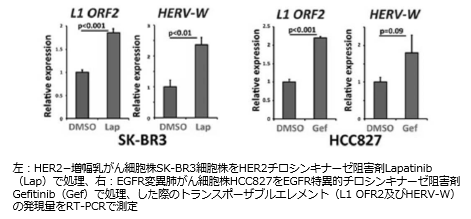 スクリーンショット 2025-08-15 182919.png
