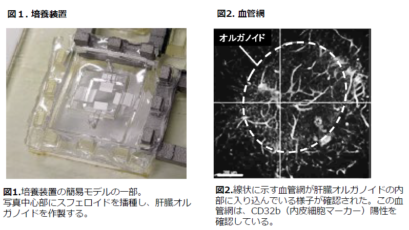 スクリーンショット 2026-09-25 152223.png