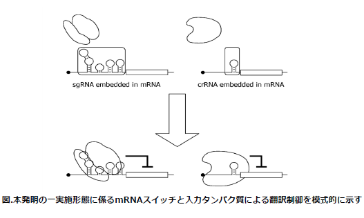 スクリーンショット 2025-06-11 174216.png