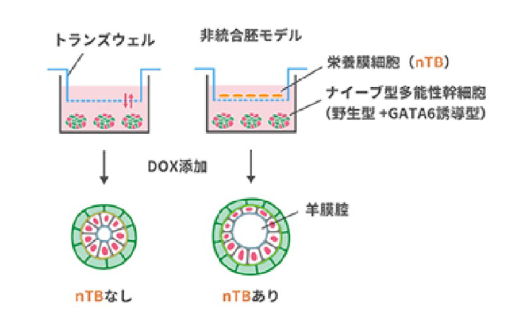 スクリーンショット 2025-09-05 110753.png