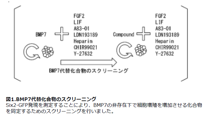 スクリーンショット 2025-09-05 111213.png