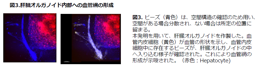 スクリーンショット 2026-09-25 152235.png