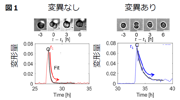 スクリーンショット 2026-03-24 152135.png