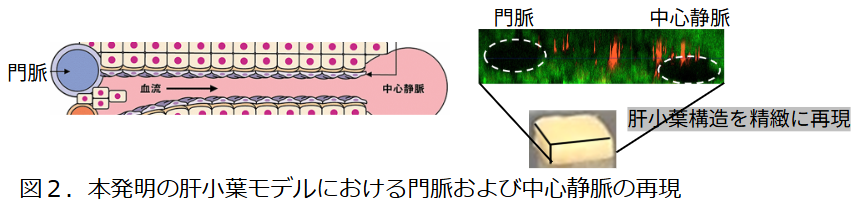 8629_fig2.png