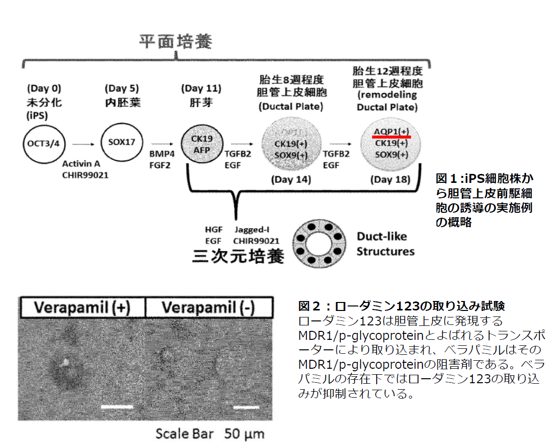 スクリーンショット 2025-09-05 110029.png