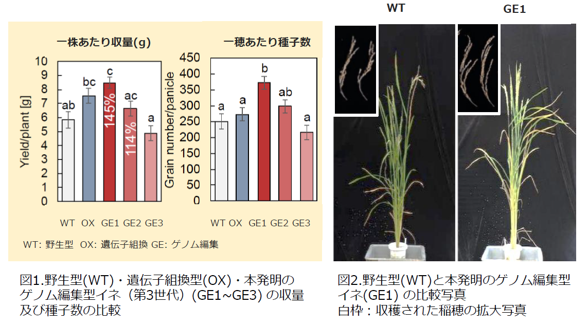 スクリーンショット 2026-01-22 102209.png