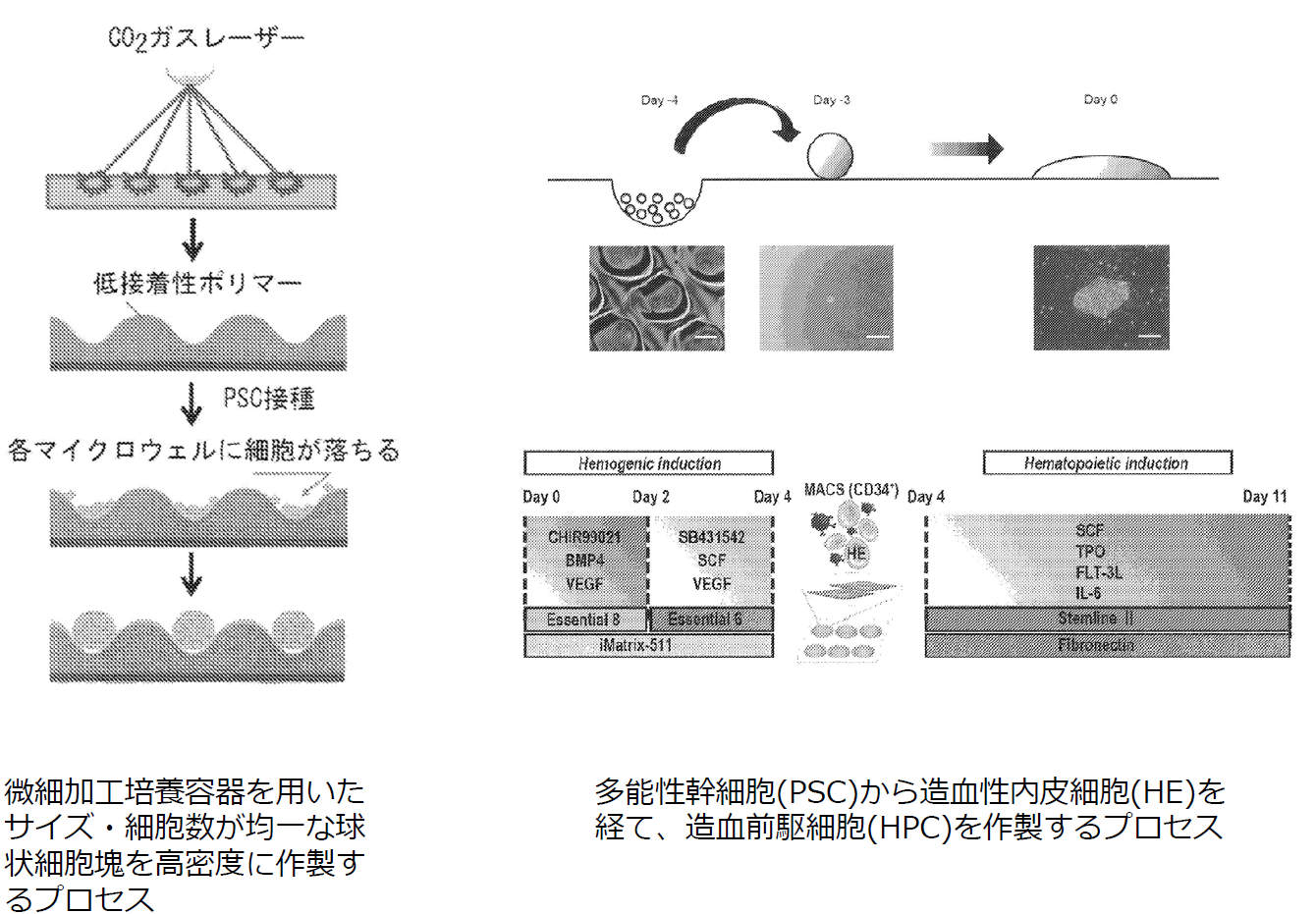 スクリーンショット 2025-09-05 162004.png
