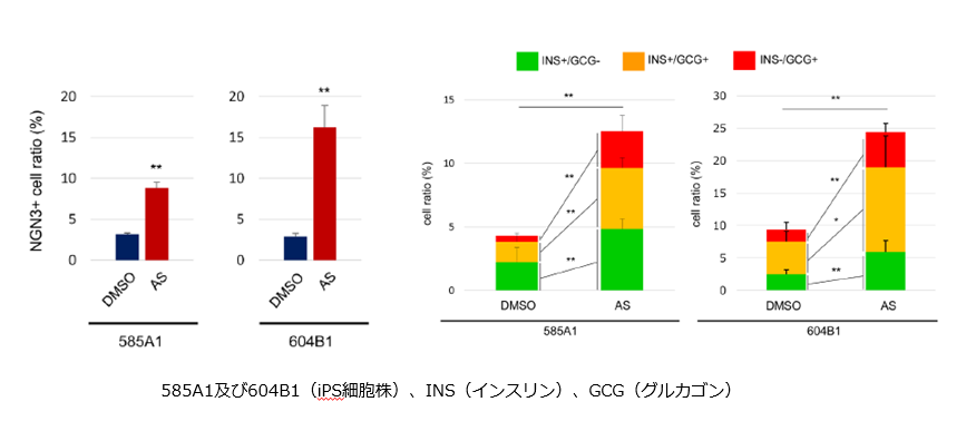 [6868]fig2.png