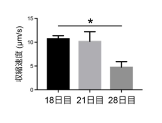 [7046]fig2.png