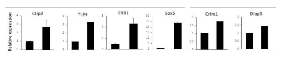 [4949]fig.png